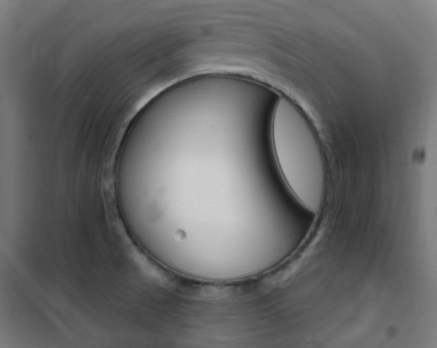 X0000101401521200807071017