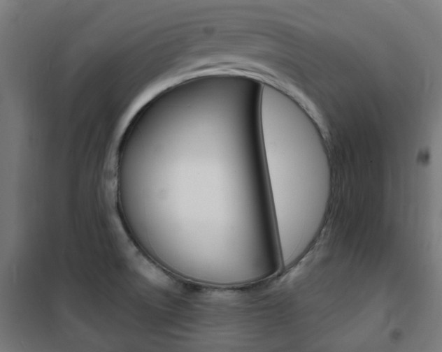 X0000101401522200807071017