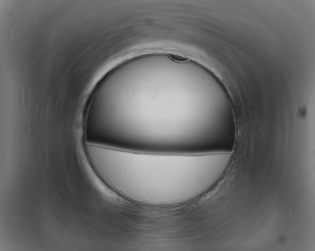 X0000101401523200807071017