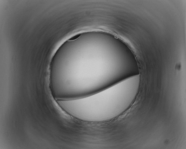 X0000101401524200807071017