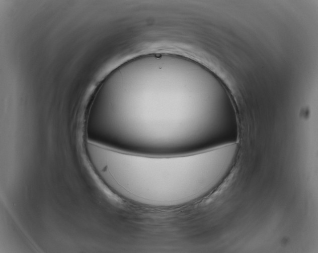 X0000101401525200807071017