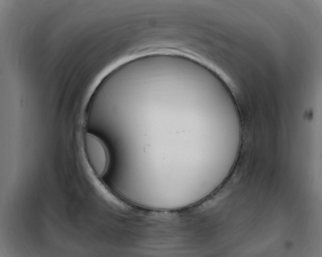 X0000101401526200807071017
