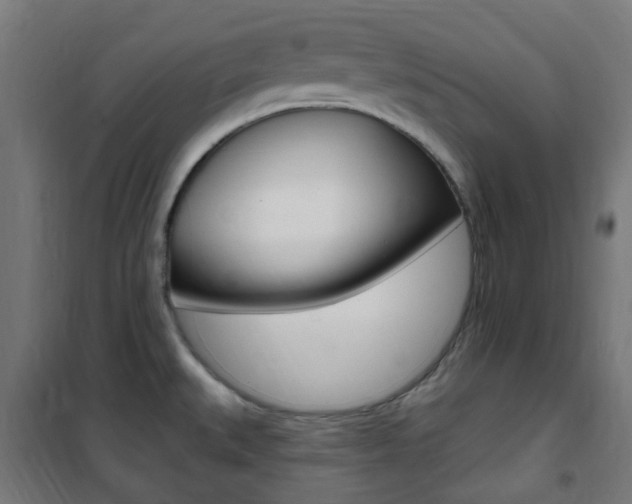 X0000101401527200807071017