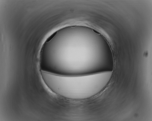 X0000101401528200807071017
