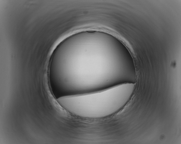 X0000101401530200807071017