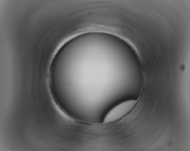 X0000101401531200807071017