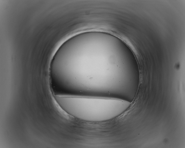 X0000101401532200807071017