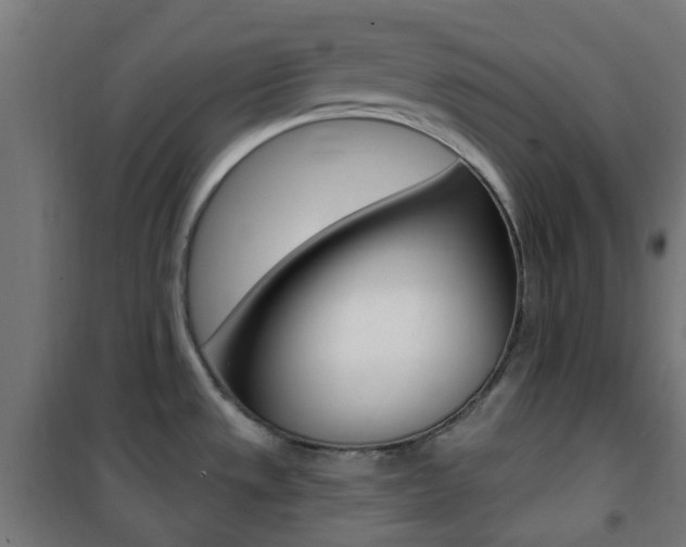 X0000101401533200807071017