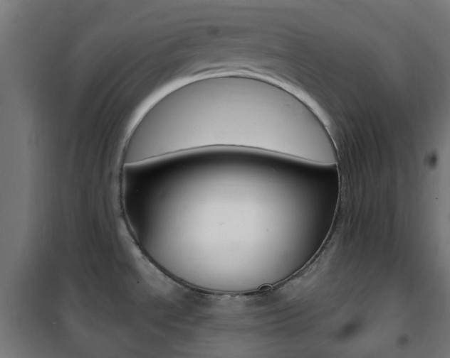 X0000101401534200807071017