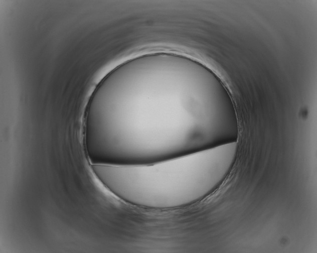 X0000101401535200807071017