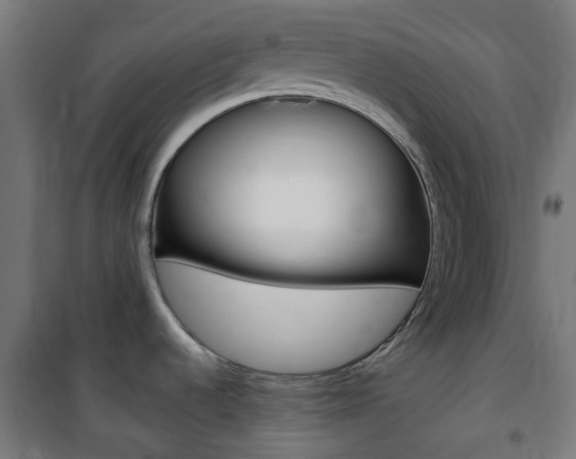 X0000101401536200807071017