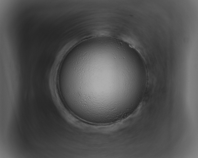 X0000101400001200807071228