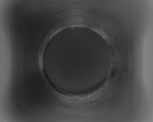 X0000101400002200807071228