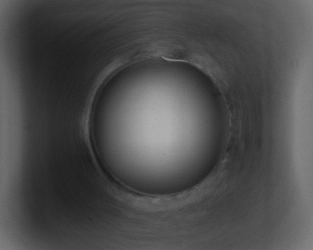 X0000101400003200807071228