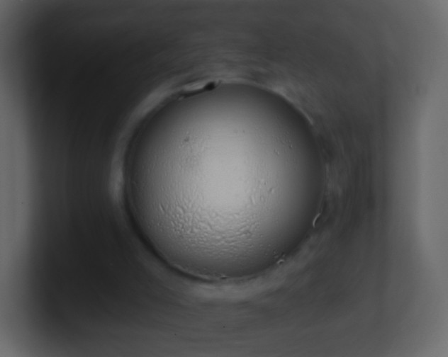 X0000101400005200807071228