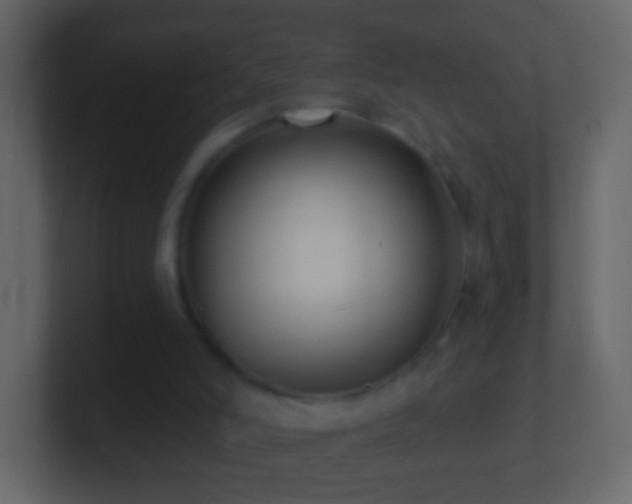 X0000101400006200807071228