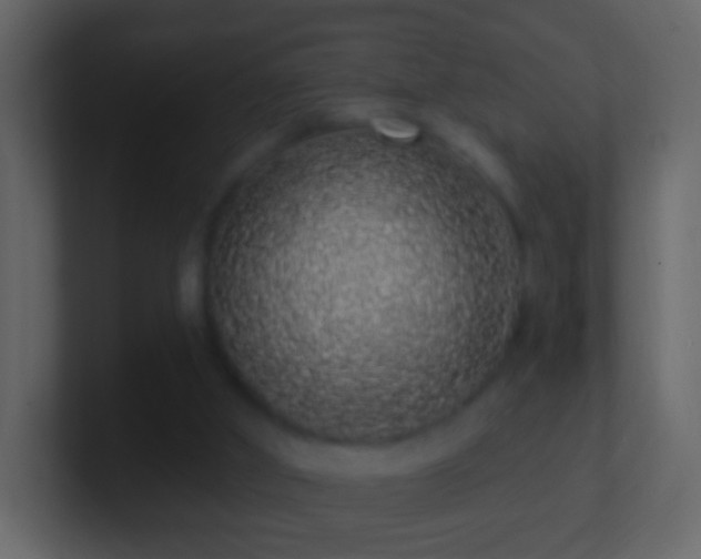 X0000101400010200807071228