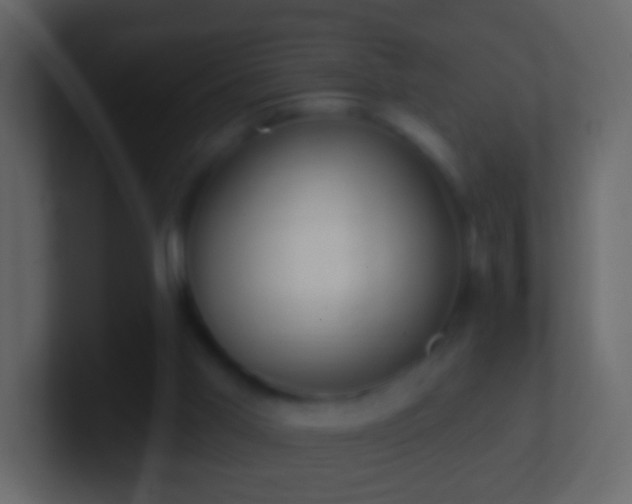 X0000101400013200807071228