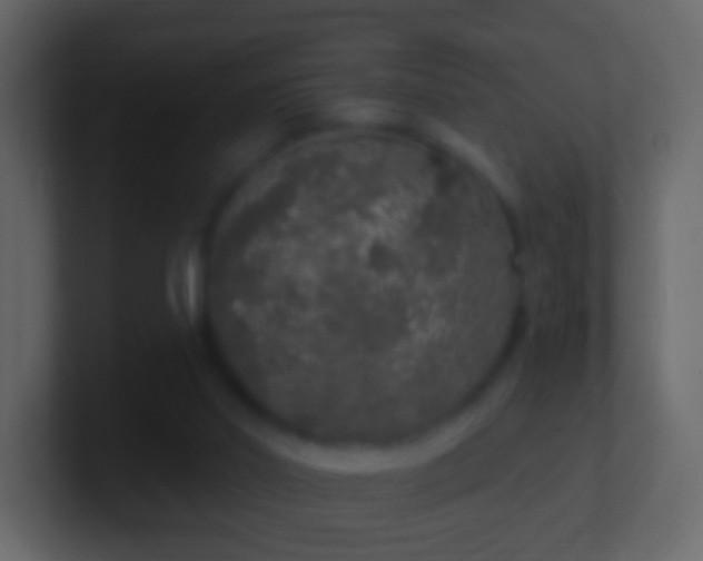 X0000101400014200807071228