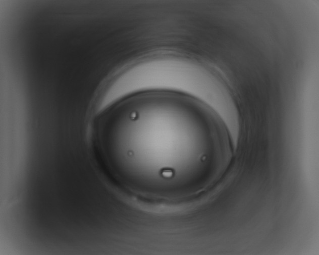 X0000101400016200807071228