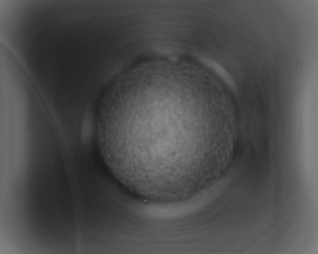 X0000101400017200807071228