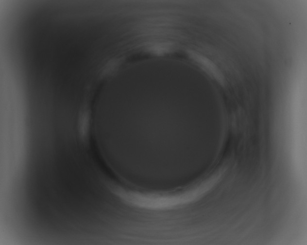 X0000101400018200807071228