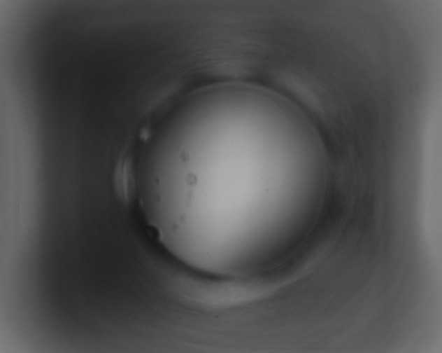 X0000101400020200807071228