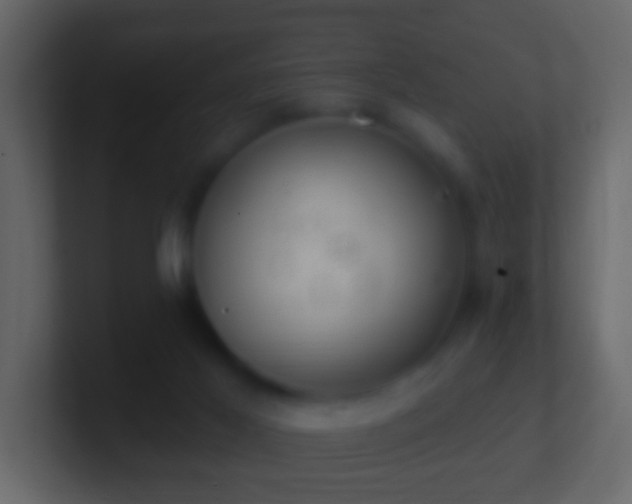 X0000101400021200807071228