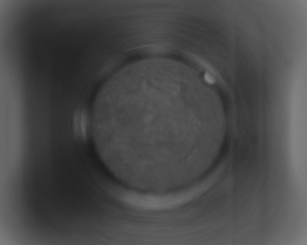 X0000101400022200807071228