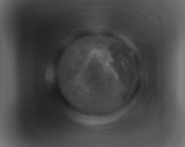 X0000101400026200807071228