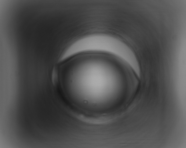 X0000101400028200807071228