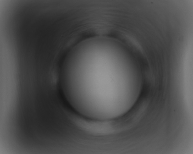 X0000101400032200807071228