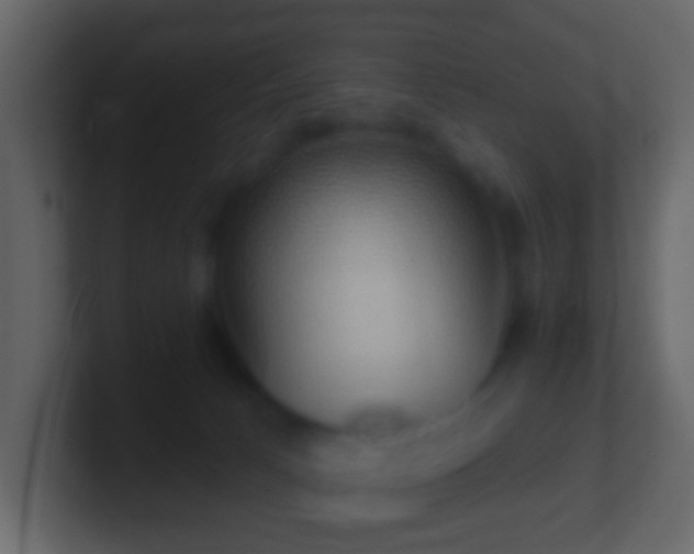 X0000101400033200807071228