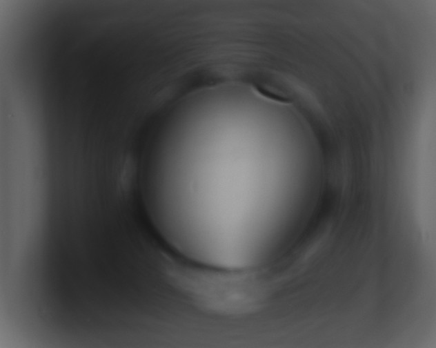 X0000101400036200807071228