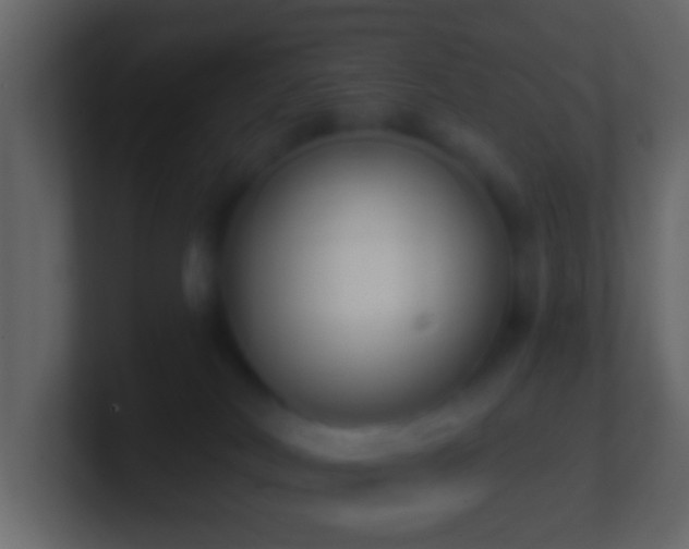 X0000101400038200807071228