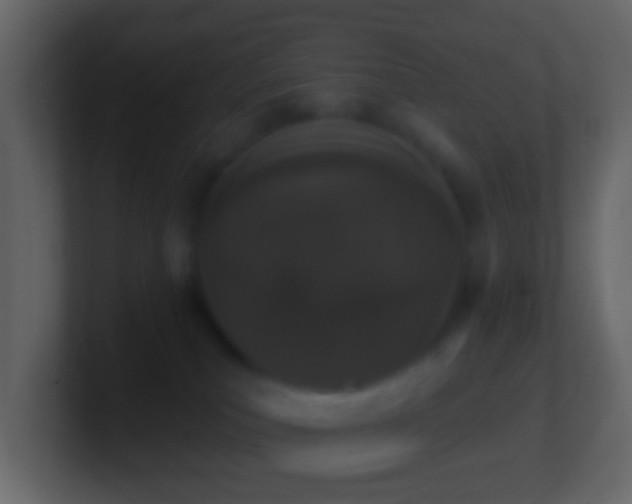 X0000101400039200807071228