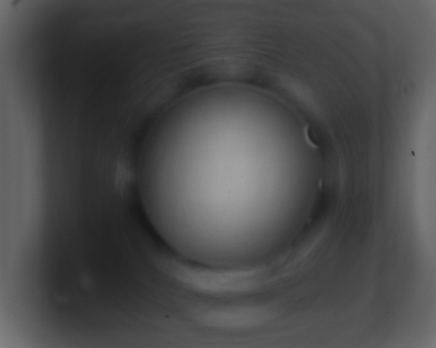 X0000101400040200807071228