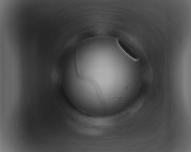 X0000101400044200807071227