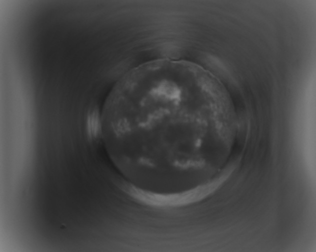 X0000101400046200807071227