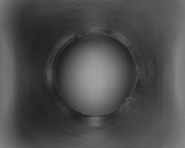 X0000101400050200807071227