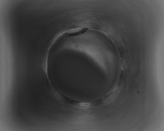 X0000101400052200807071227