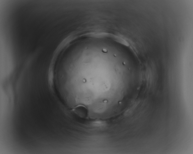 X0000101400053200807071227