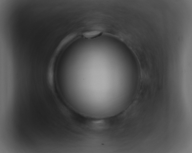 X0000101400054200807071227