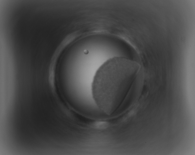 X0000101400055200807071227