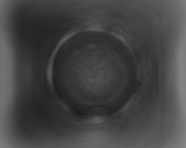 X0000101400056200807071227