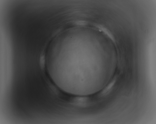 X0000101400057200807071227