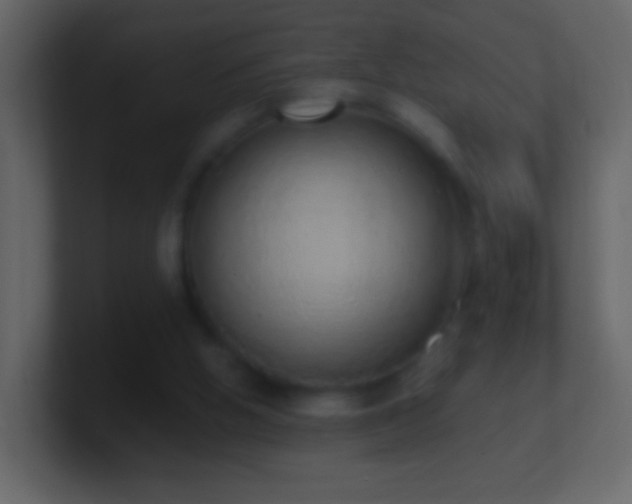 X0000101400058200807071227