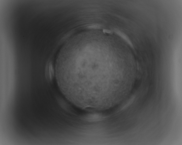 X0000101400061200807071227