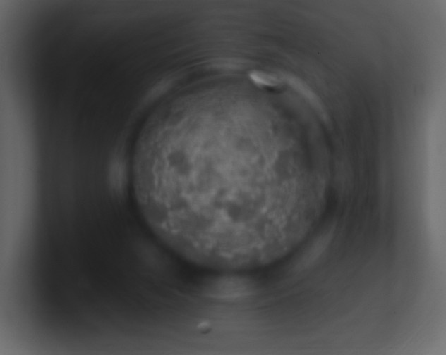 X0000101400063200807071227