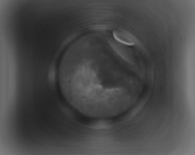 X0000101400064200807071227